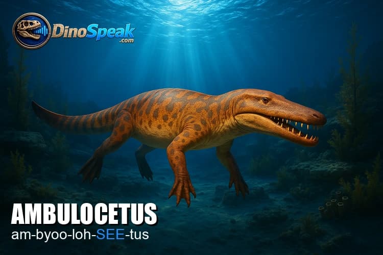 Ambulocetus picture