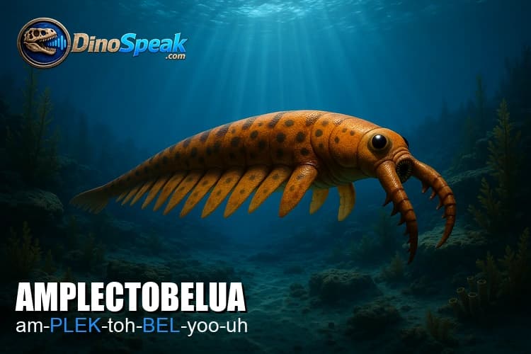 Amplectobelua picture
