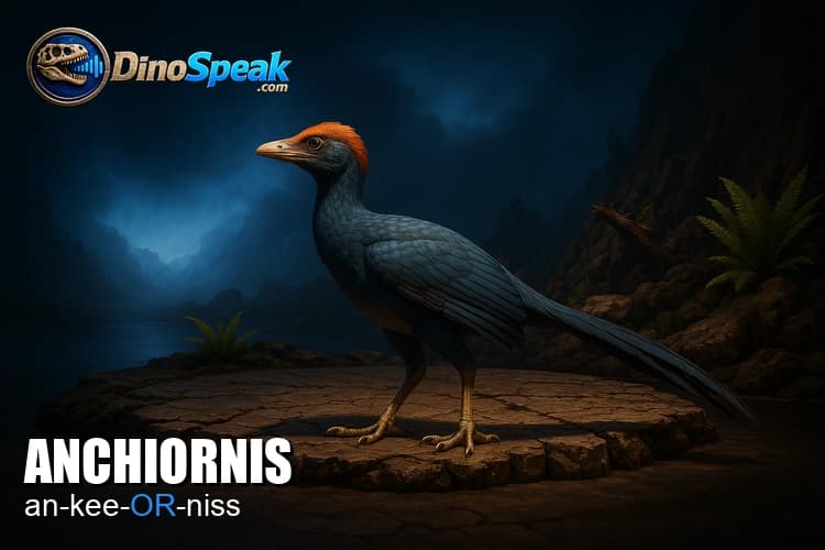 Anchiornis picture