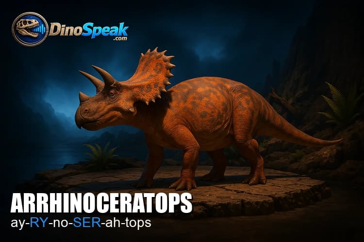 Arrhinoceratops picture