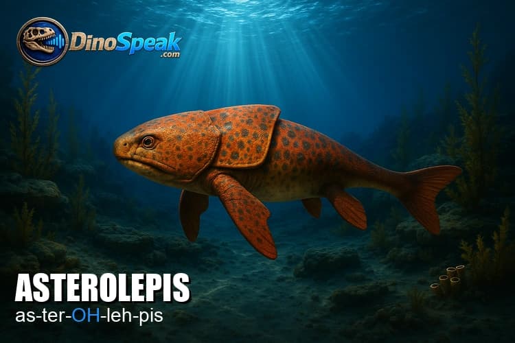 Asterolepis picture