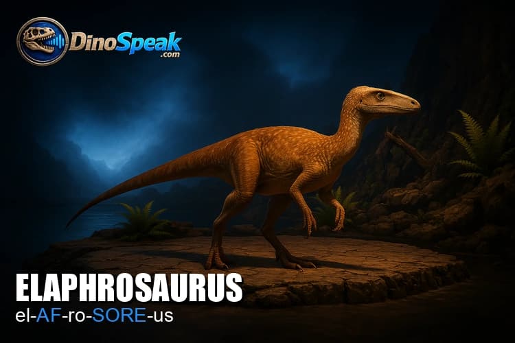 Elaphrosaurus picture