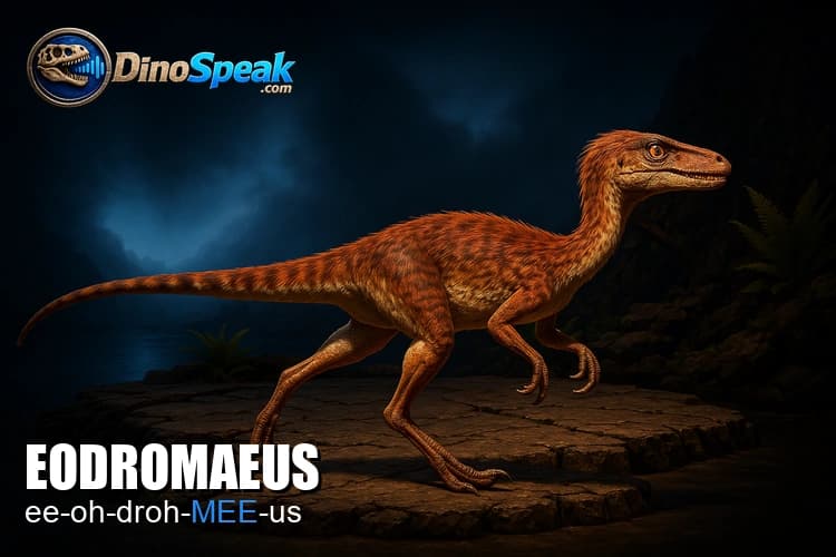 Eodromaeus picture