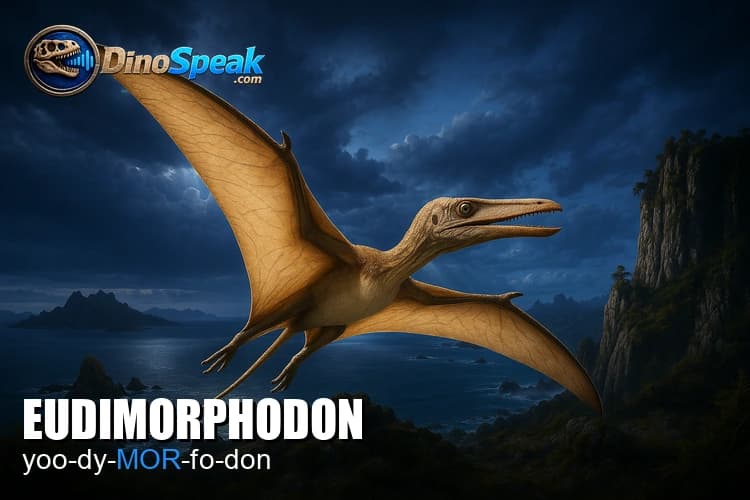 Eudimorphodon picture