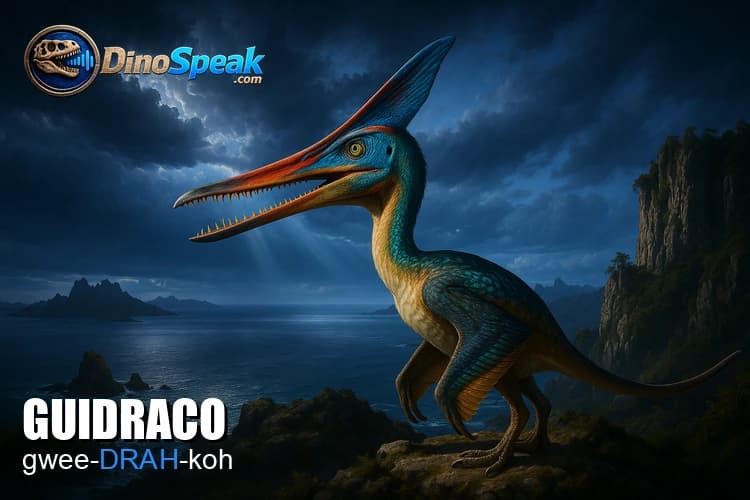 Guidraco picture