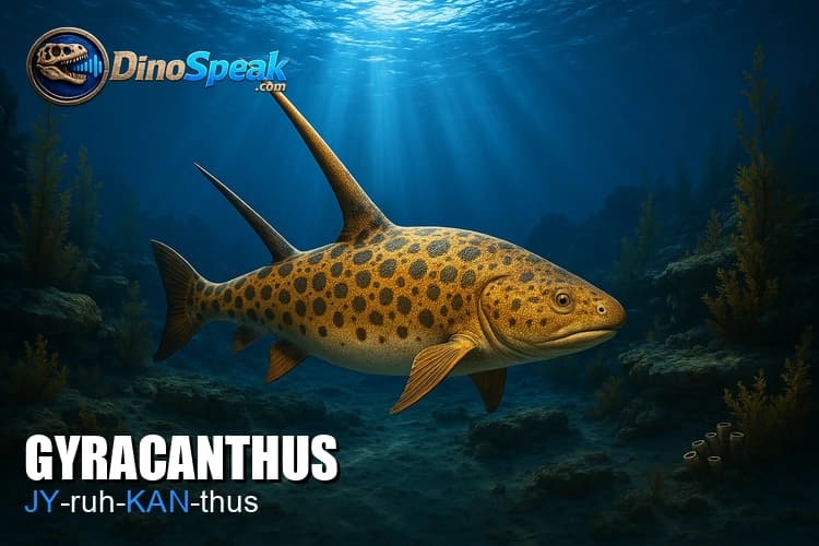 Gyracanthus picture