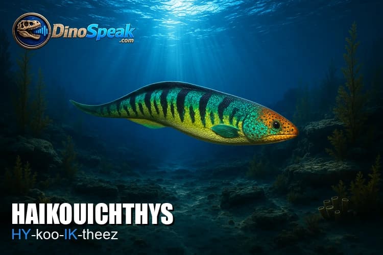Haikouichthys picture