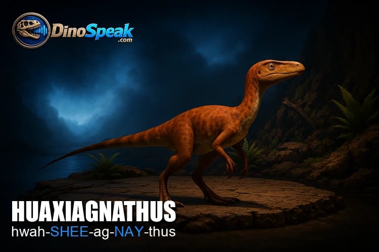 Huaxiagnathus picture
