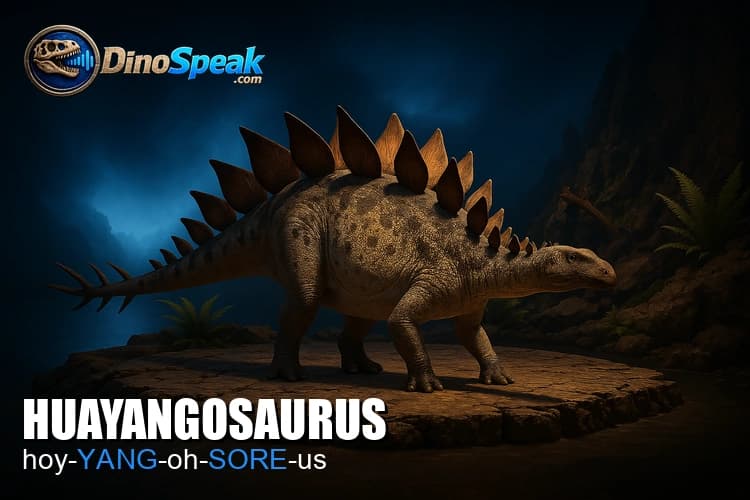 Huayangosaurus picture