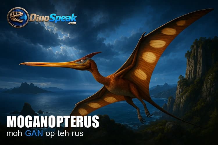Moganopterus picture