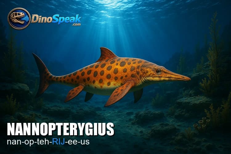 Nannopterygius picture