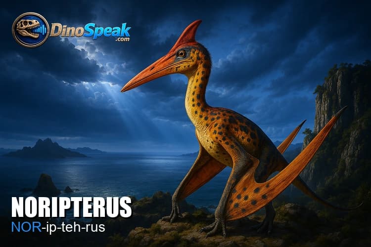 Noripterus picture
