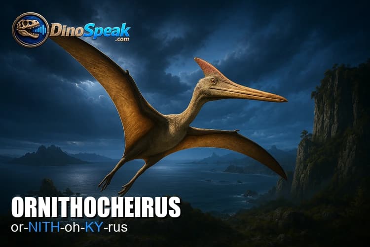 Ornithocheirus picture