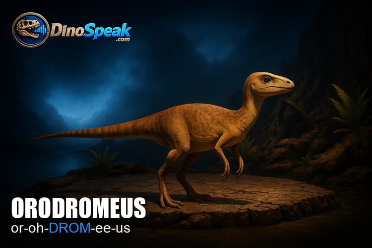 Orodromeus picture