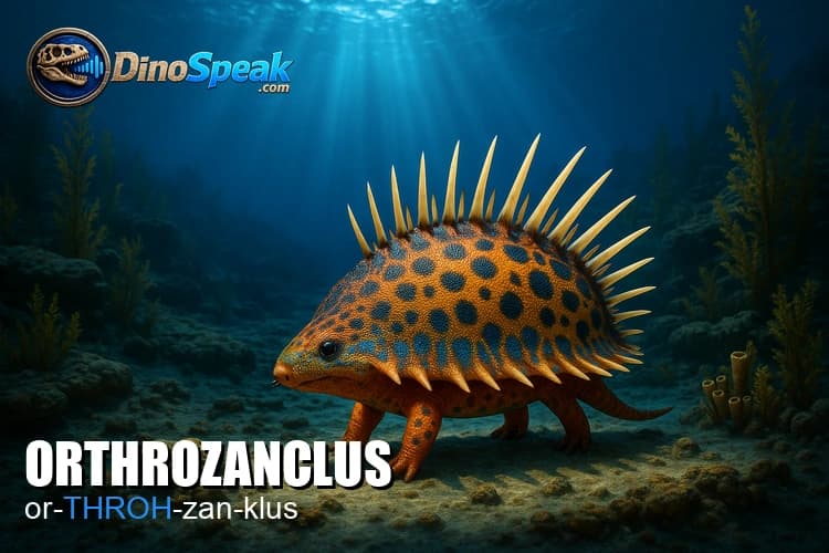 Orthrozanclus picture