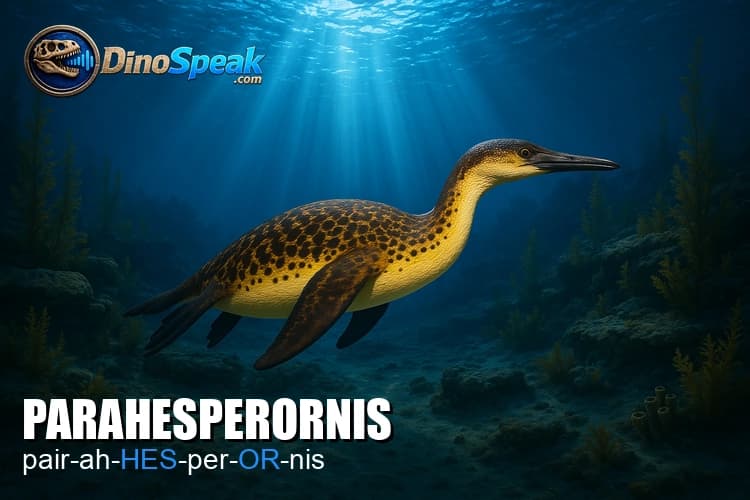 Parahesperornis picture