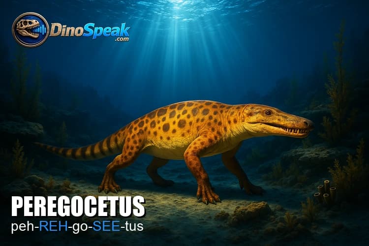 Peregocetus picture