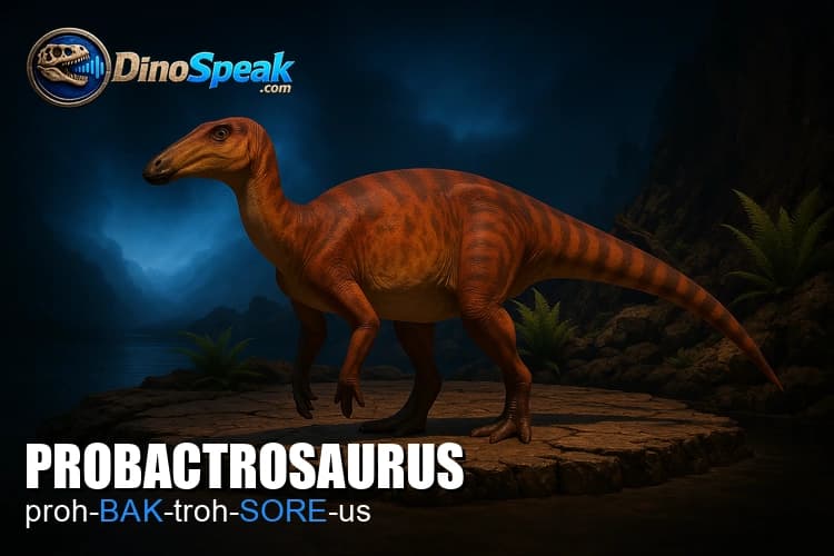 Probactrosaurus picture