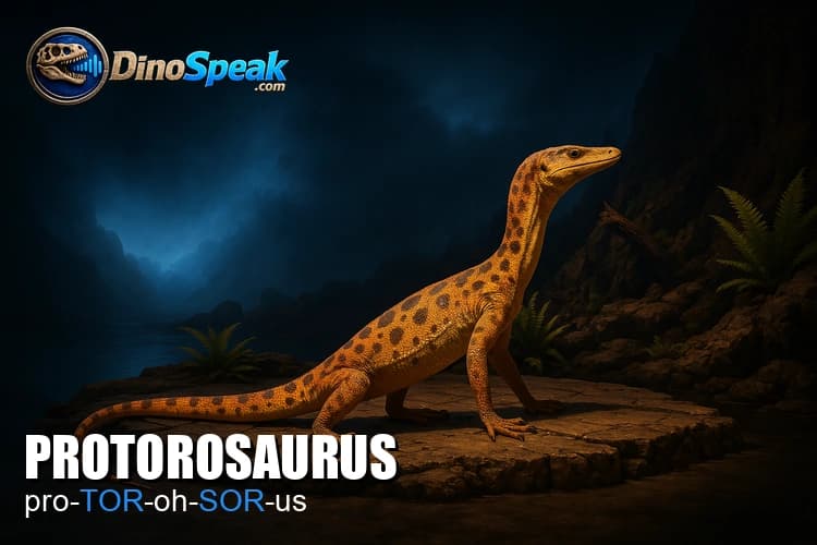 Protorosaurus picture