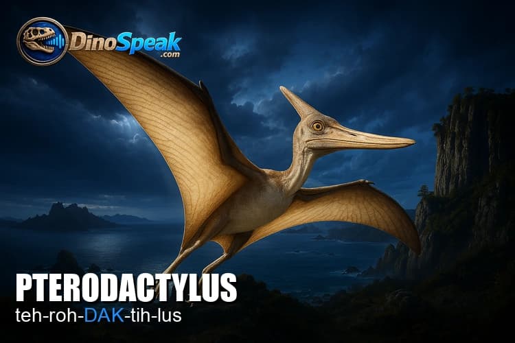Pterodactyl picture