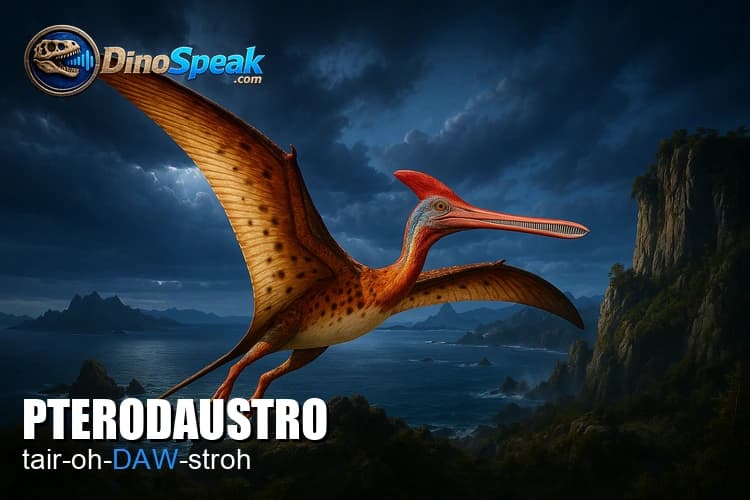 Pterodaustro picture