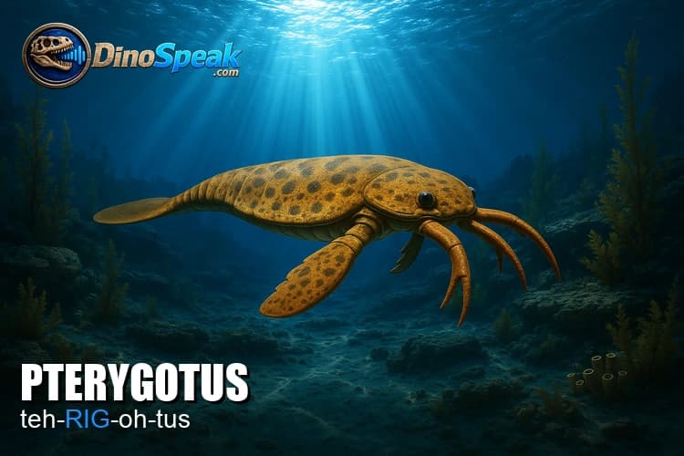 Pterygotus picture