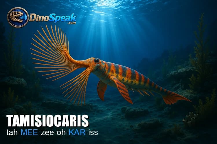 Tamisiocaris picture