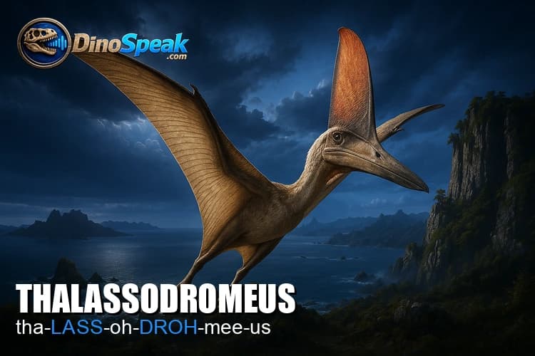 Thalassodromeus picture
