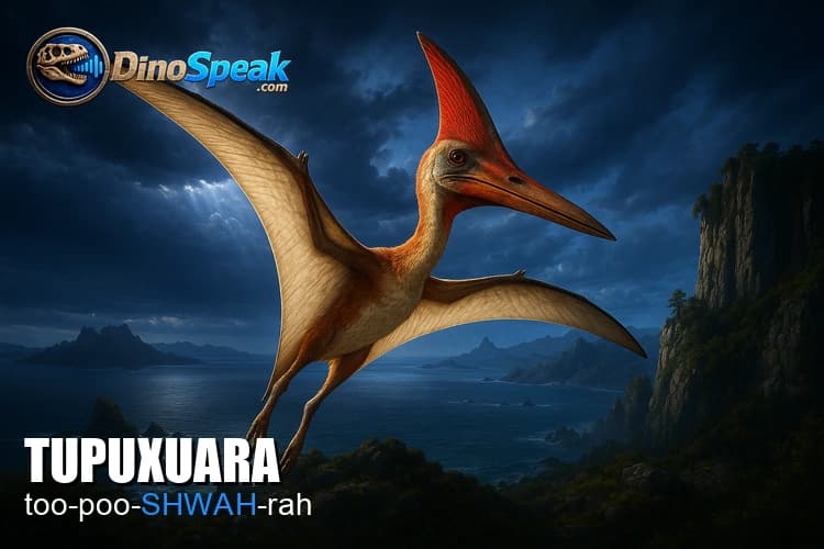 Tupuxuara picture