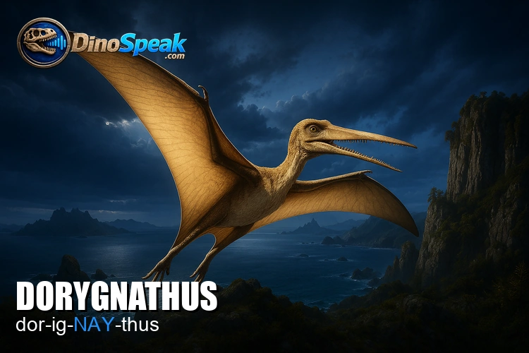 Dorygnathus