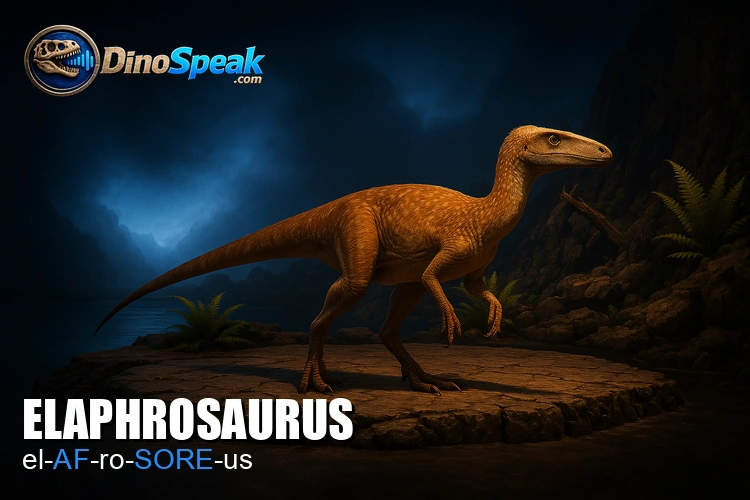 Elaphrosaurus