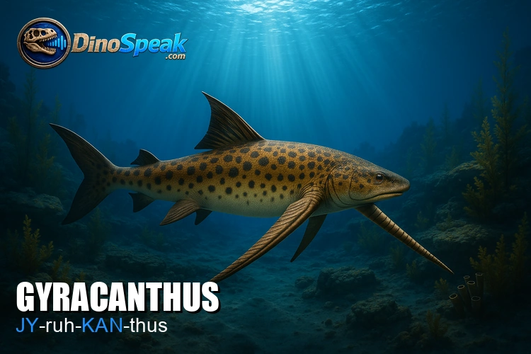 Gyracanthus