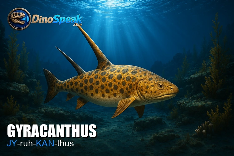 Gyracanthus