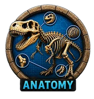 Dinosaur Anatomy