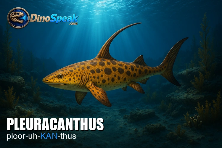 Pleuracanthus