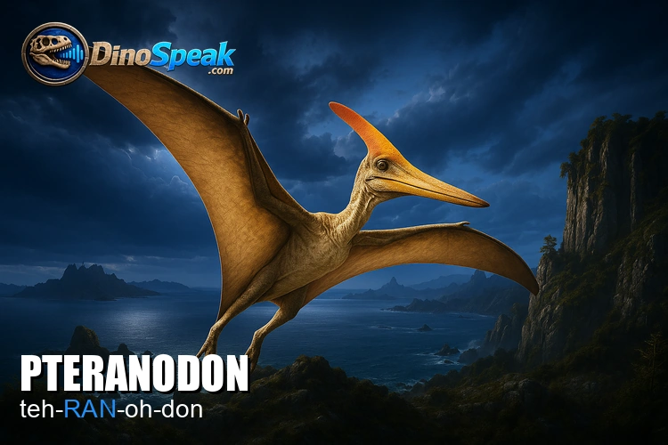 Pteranodon