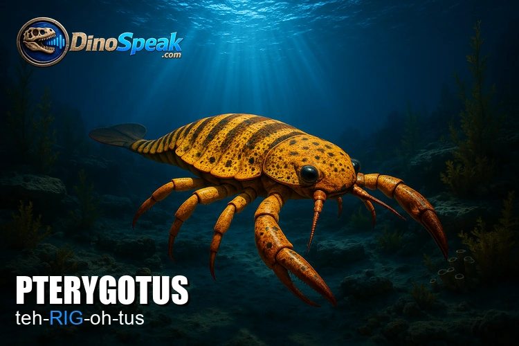 Pterygotus