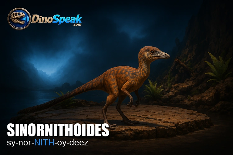Sinornithoides