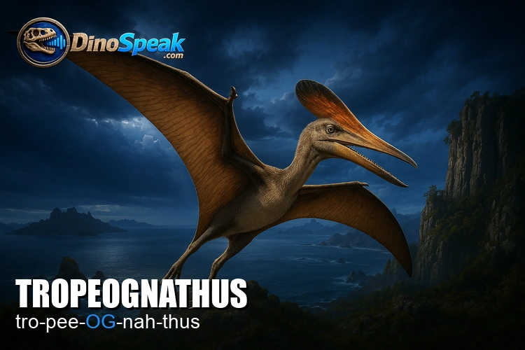 Tropeognathus